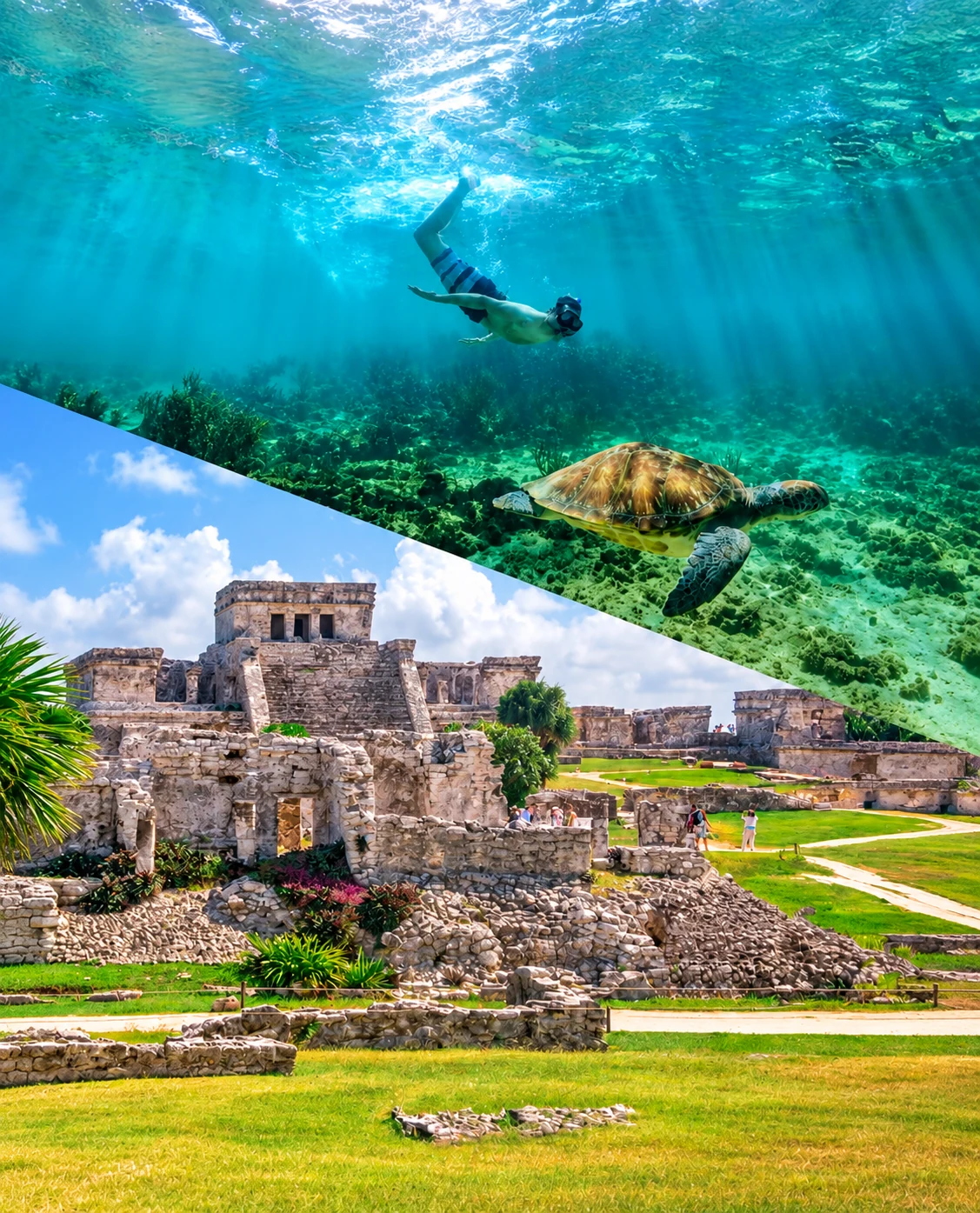 Activities & Tours